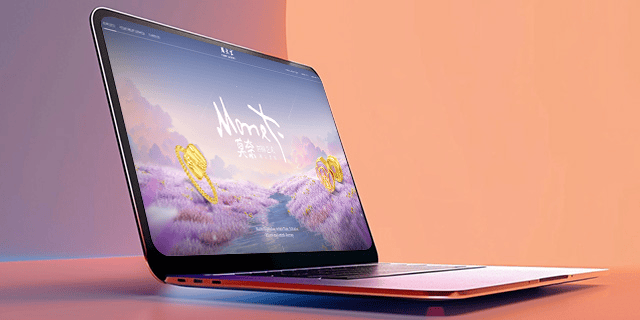 连云港网络公司|高端网站建设与数字营销服务商