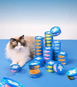 连云港网络公司|高端网站建设与数字营销服务商