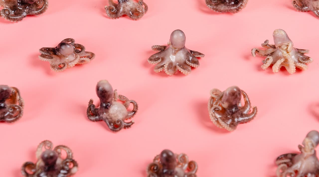 连云港商业摄影＆Tvc宣传片