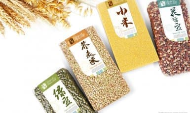 连云港网络公司|高端网站建设与数字营销服务商