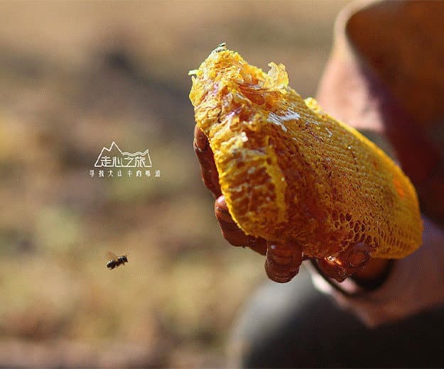 连云港网络公司|高端网站建设与数字营销服务商