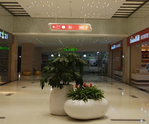 连云港网络公司|高端网站建设与数字营销服务商