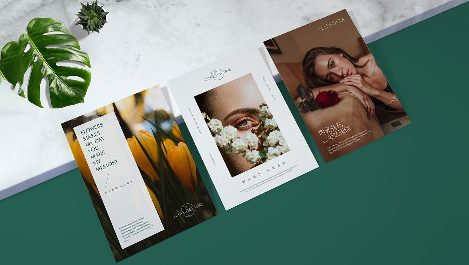 连云港品牌标志＆Vi