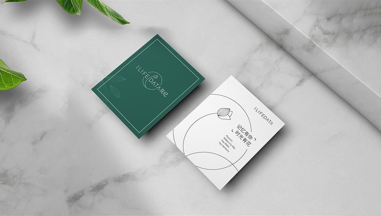 连云港品牌标志＆Vi