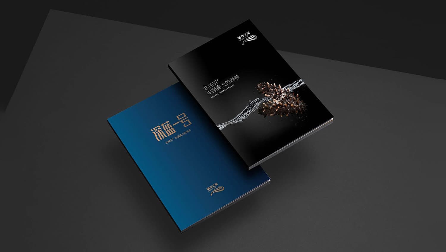 连云港品牌标志＆Vi