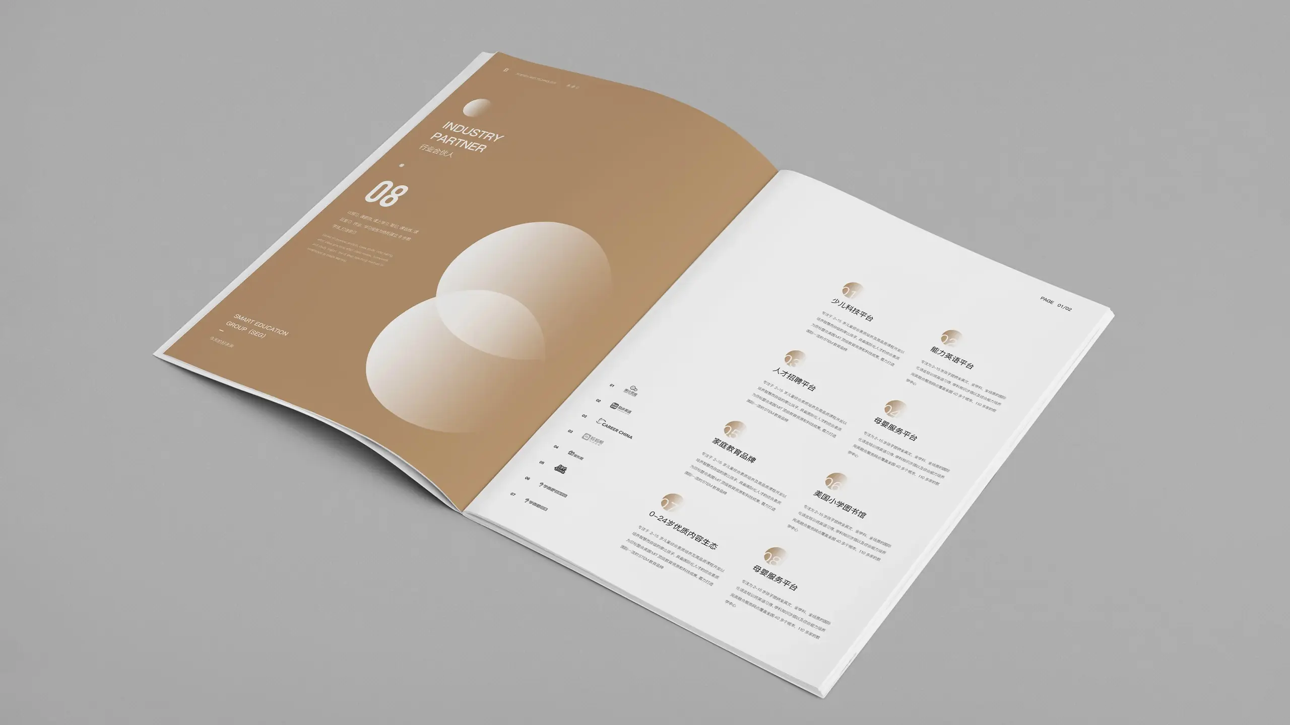 连云港企业画册设计