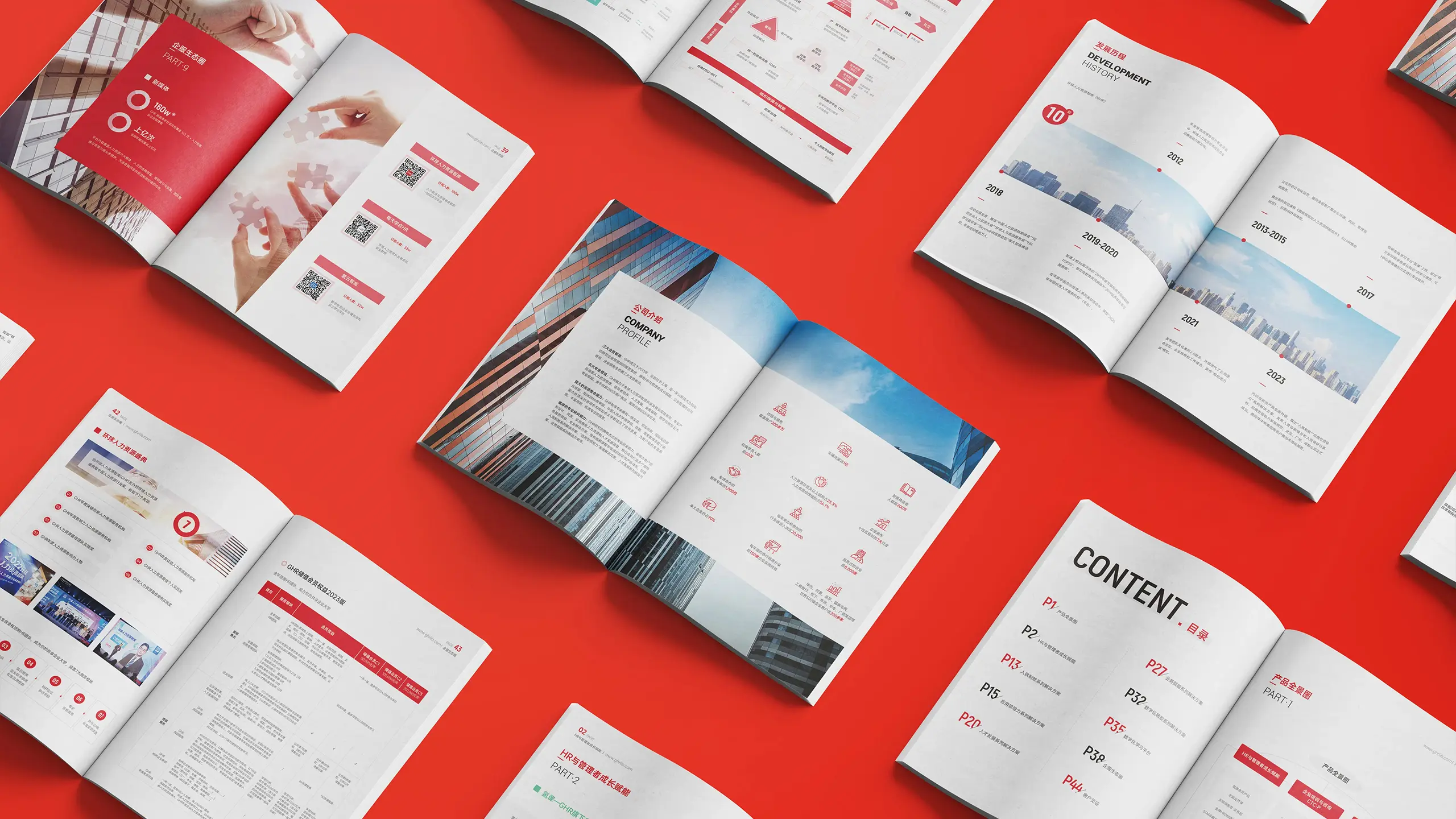 连云港网络公司|高端网站建设与数字营销服务商