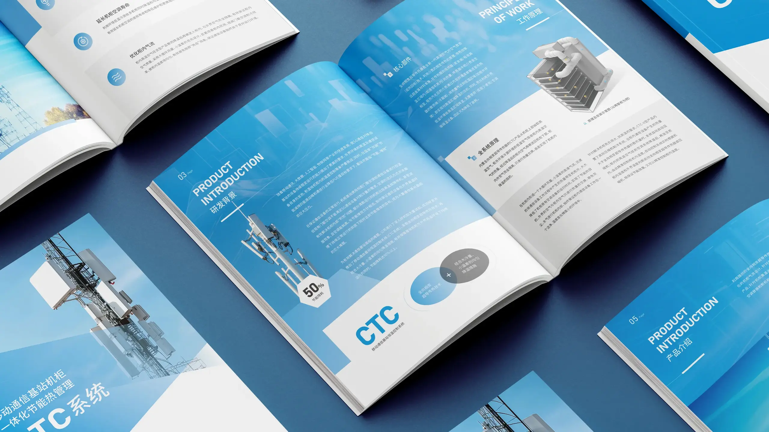 连云港网络公司|高端网站建设与数字营销服务商