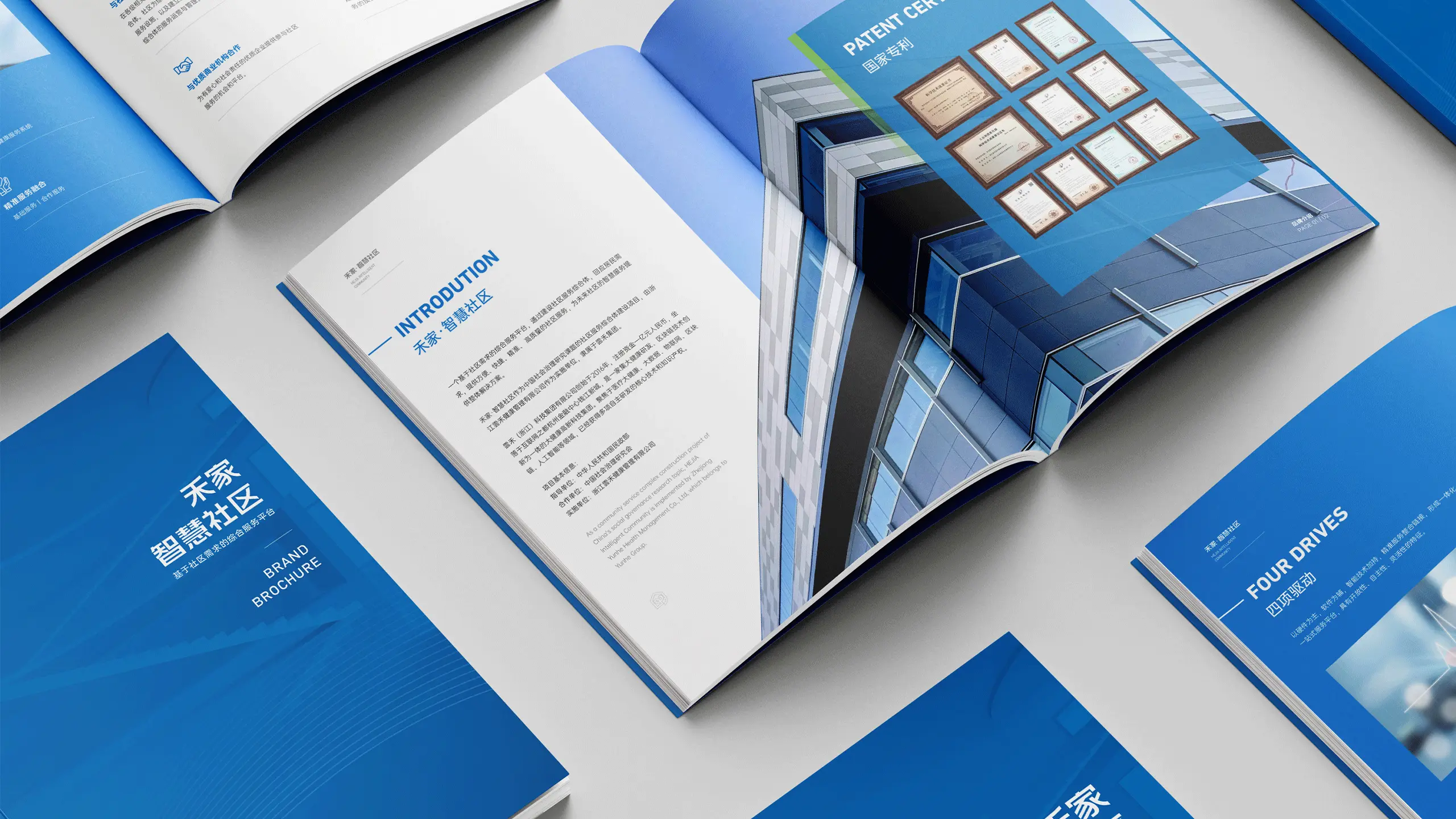 连云港网络公司|高端网站建设与数字营销服务商