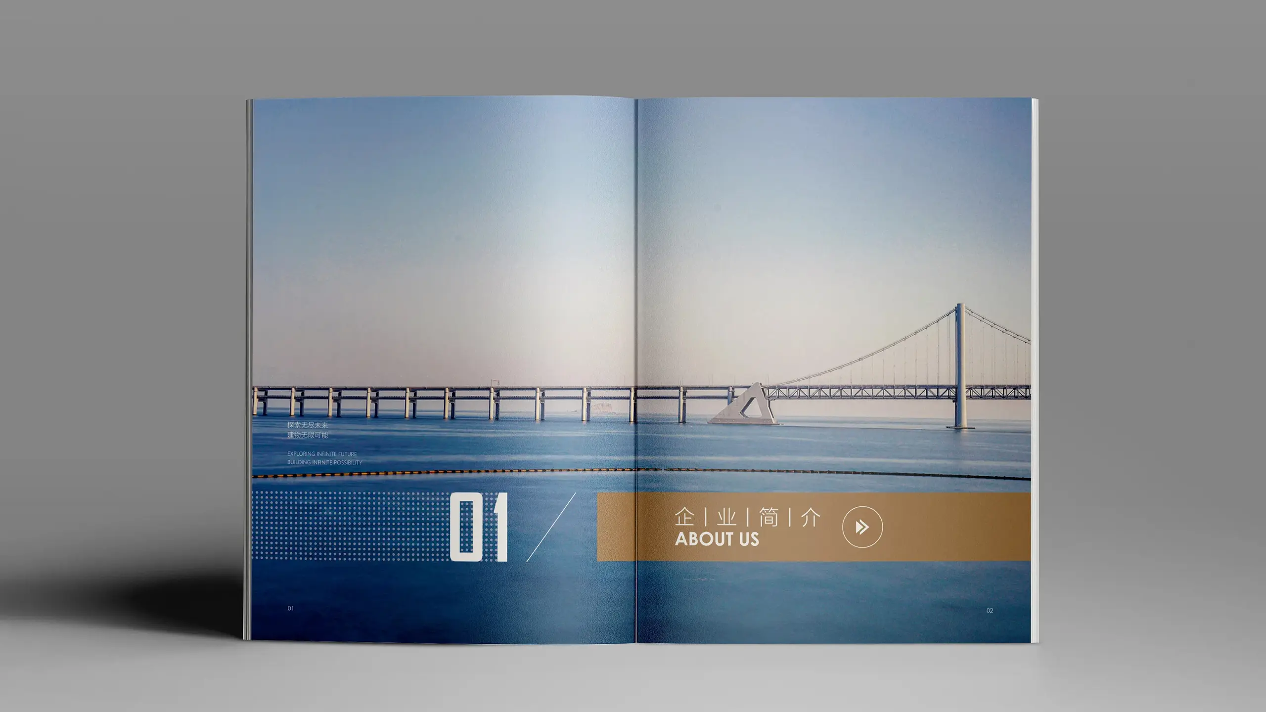 连云港网络公司|高端网站建设与数字营销服务商