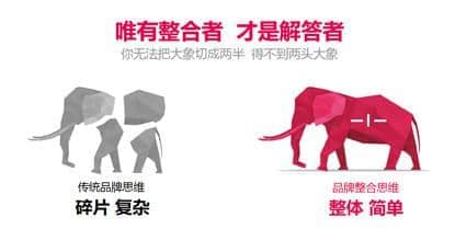 连云港网络公司|高端网站建设与数字营销服务商